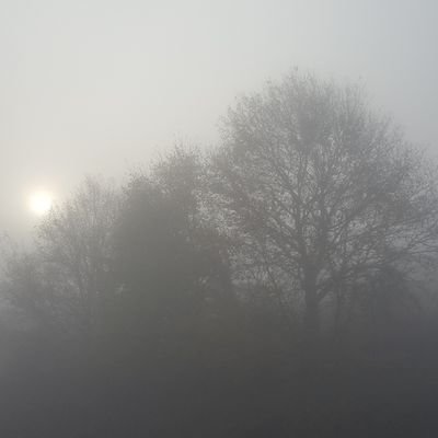 bariheybari's profile picture. Uçabilmek