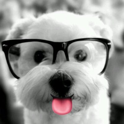 I’m just a dog with glasses.