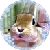 小鉄 (@kotetsu_mmd) Twitter profile photo 小鉄 (@kotetsu_mmd) Twitter profile photo