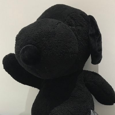 CAUGHTSHOE's profile picture. ...