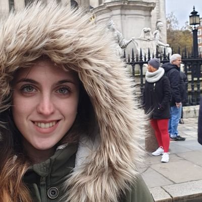 sansr's profile picture. 🤖 ML Engineer at @BBVA_espana