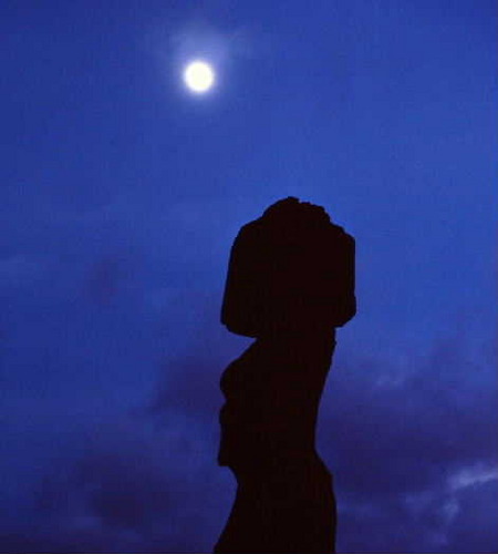 tenrou89's profile picture. 児童書を中心に、翻訳やってます。