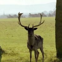 SK (@phoenixstag) 's Twitter Profile