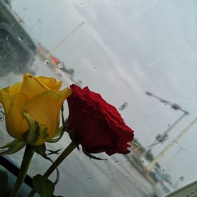 aljizaniuh's profile picture. ‏‏‏‏‏الوقت جاحد والخلايق مصالح طيب لين يقضي لزومه