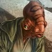 CilghalJedi's profile picture. Ambassador. Senator. Jedi Master. Healer.

RIP Uncle Ackbar!