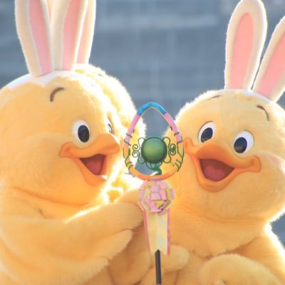 ディズニー٩( 'ω' )و共通3年目✨⇽中止中。ドナルド♡ミニー♡うさぴよ♡ジミニー♡ディズニー好きな人とお友達になりたぃ(∩´∀`∩)よろしくお願いします👍📷Canon📱