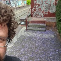 Reuben (@reubenmccallum) 's Twitter Profile