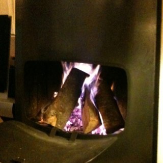 roosvdz31's profile picture. 