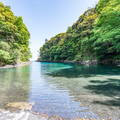 パニック障害の治し方をココナラでサービスしています。私も過去3年間の発症経験がありますが完治しました。料金はかかりますが、高いクオリティをお届けします!たくさんの方に治って頂きたいので 、無言フォローたくさんしてしまいます。。