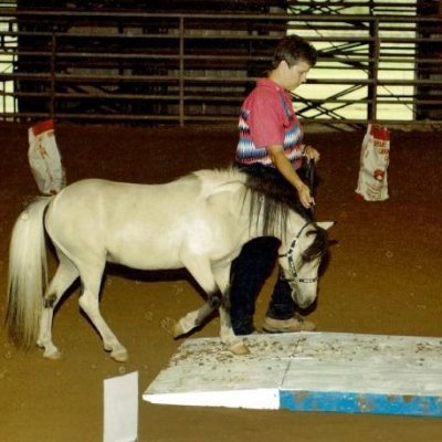 Equine Trail Obstacles| Liberty Training| Positive Reinforcement Training | Holistic Animal Health #WinWithYourHorse #DontForceTheHorse