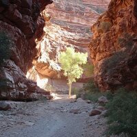 Jason Spohn (@spohnman) 's Twitter Profile