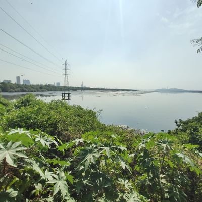 Suhit45's profile picture. 