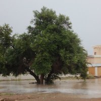 Almazim_events فعاليات المازم (@almazimevents) 's Twitter Profile Photo