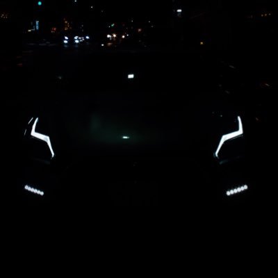 Hositaume's profile picture. 🐕‍🦺𝐓𝐨𝐲 𝐏𝐨𝐨𝐝𝐥𝐞/🚗GT-R/⌚️AP/♛︎