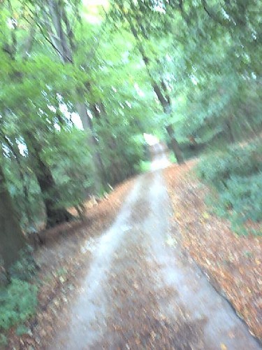 beheerjeugrubbe's profile picture. 