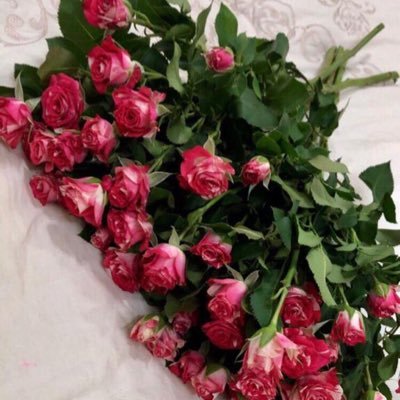 6s1Rrd3dlh3SmaM's profile picture. سبحان الله وبحمده