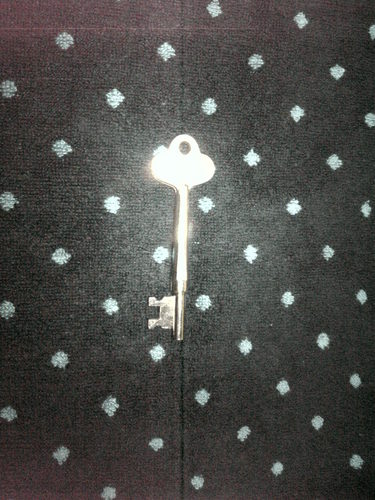 tomoponglong's profile picture. 14Vn./DCO/Salesforce x20 certified