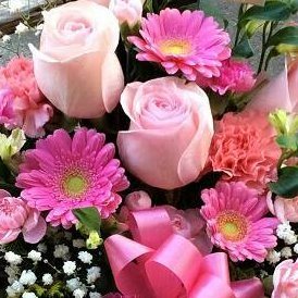 Leeeooon3's profile picture. 