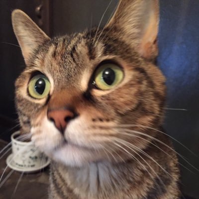 ゆえさんのプロフィール画像