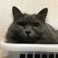 セッチ (@growcreate30) 's Twitter Profile