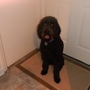 Luna Allison - @lunalallison - Twitter