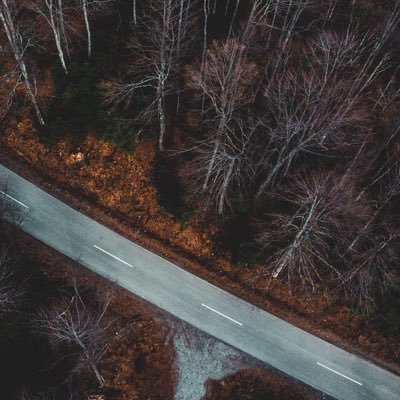 RealPilotK's profile picture. Pilot, photographer, filmmaker, peace lover, coffee lover, and athlete.