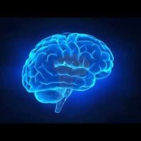 NeuroIntact (@neuro_intact) 's Twitter Profile Photo NeuroIntact (@neuro_intact) 's Twitter Profile Photo