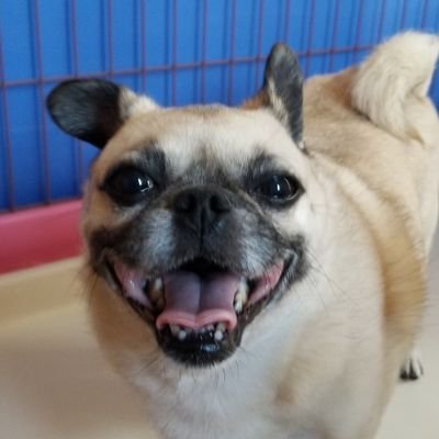 Daikitchaaaan's profile picture. 