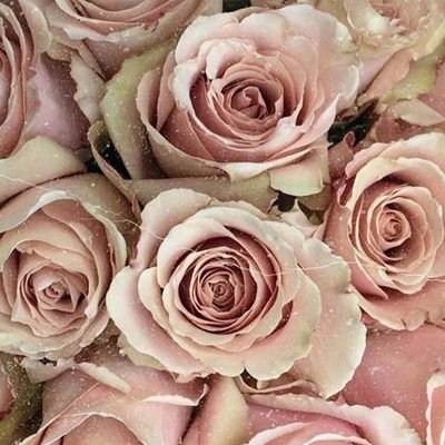 Andrea43283087's profile picture. EL MUNDO ES TUYO!