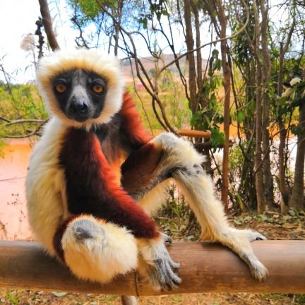 ichiro60813171's profile picture. PCK5CE3S
バックパッカー

旅ラブ

おなか弱いcrypto民
#相互フォロー