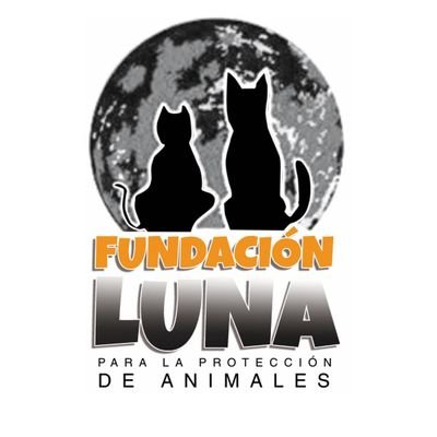 Protectora de animales en Salamanca: ayudamos a animales abandonados, maltratados o necesitados.

¡Difunde para encontrarles un hogar! AYÚDANOS A AYUDARLOS ❤️