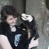 Sonja Howard - @SonjasCreatures Twitter Profile Photo