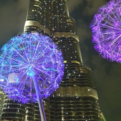 HormigaV's profile picture. Bravoholic, scientist, book lover