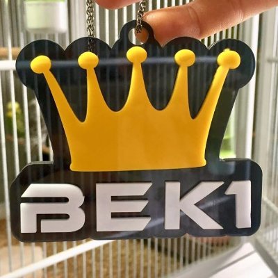 bek1official's profile picture. Exhibition Budgerigar Breeder, Ring #BEK1