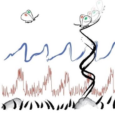 Single-Molecule Biophysics Lab | TU Delft | BioNanoScience |