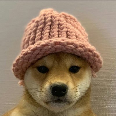 gandalf133's profile picture. 