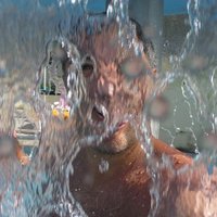 Stefano (@playloud1971) 's Twitter Profile Photo Stefano (@playloud1971) 's Twitter Profile Photo
