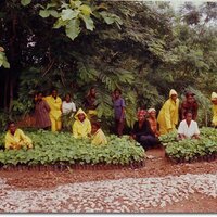 Permaculture Ghana (@permaghana) 's Twitter Profile