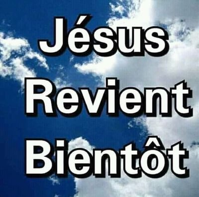 GuelordGuez's profile picture. 