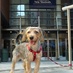 Baruch Free Press (@baruchfreepress) Twitter profile photo Baruch Free Press (@baruchfreepress) Twitter profile photo