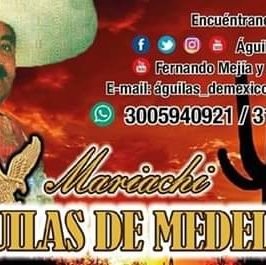 fernando mejia es el representante del mariachi aguilas de medellin de la cuidad de medellin Ant. donde ingreso como guitarrista y cantante en el año 1986.