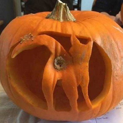 KamloopsNudes's profile picture. A place to share Kamloops nudists/naturists happenings, photos, w.h.y.