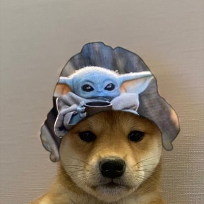 DumboWasabi's profile picture. no se