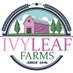 Ivy Leaf Farms : A Community Farm (@ivyleaffarms) Twitter profile photo