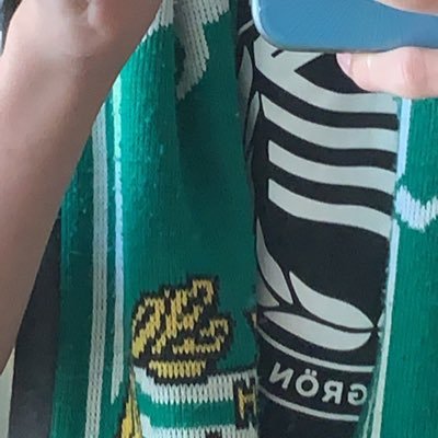BajenFalls's profile picture. HUSKI MÄSTARE 2022 🍫 #Bajen #Napoli
