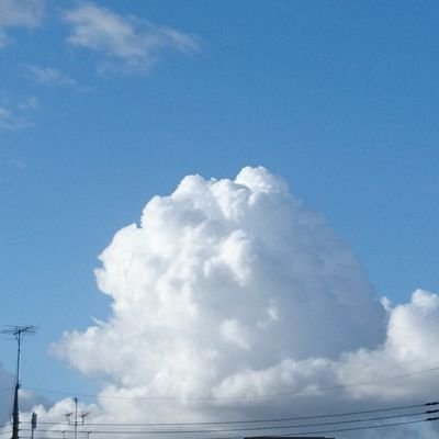 白木さんのプロフィール画像