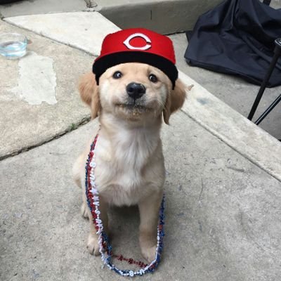 KingPZone's profile picture. 