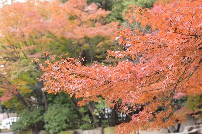 関東で、まったりとカメラマンをやっているものです。よろしくお願いします。作例は固定のモーメント（プロフのウェブからとべます）から。 ニコンD750・ストロボ四灯
Next→10日横浜、17日Ｋ合わせ、24日
ラグコス