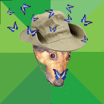 _Biodadepressao's profile picture. Biólogo não tem depressão, tem disfunção no
hipotálamo!
O Biólogo da disfunção no hipotálamo segue a todos, sejam bem vindos!