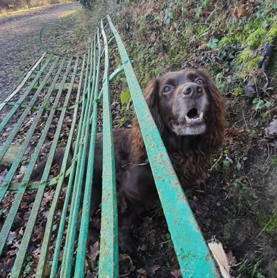 da51lva's profile picture. 